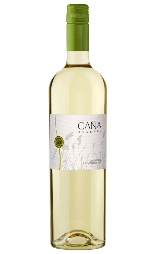 Wine Maola Cana Reserva Sauvignon Blanc Valle Central