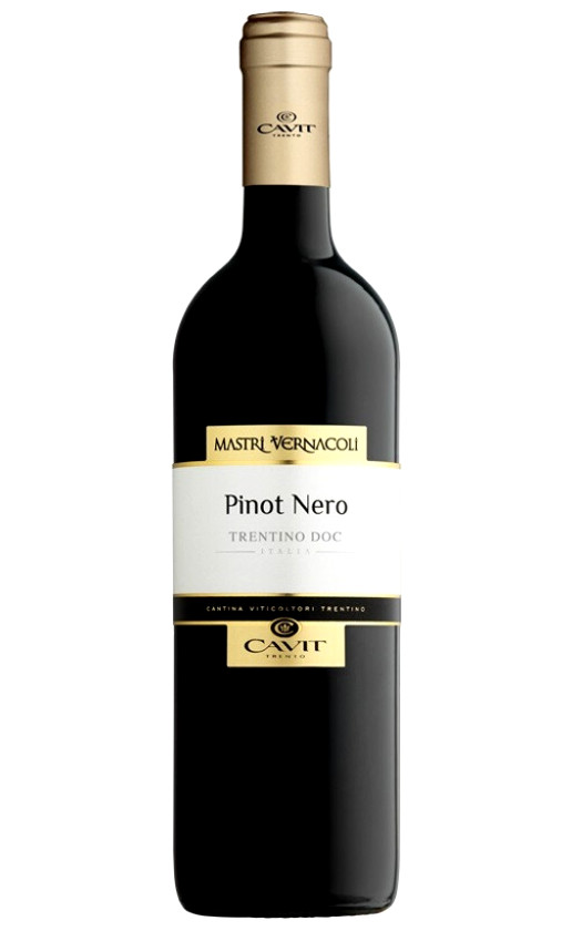 Mastri Vernacoli Pinot Nero Trentino 2019