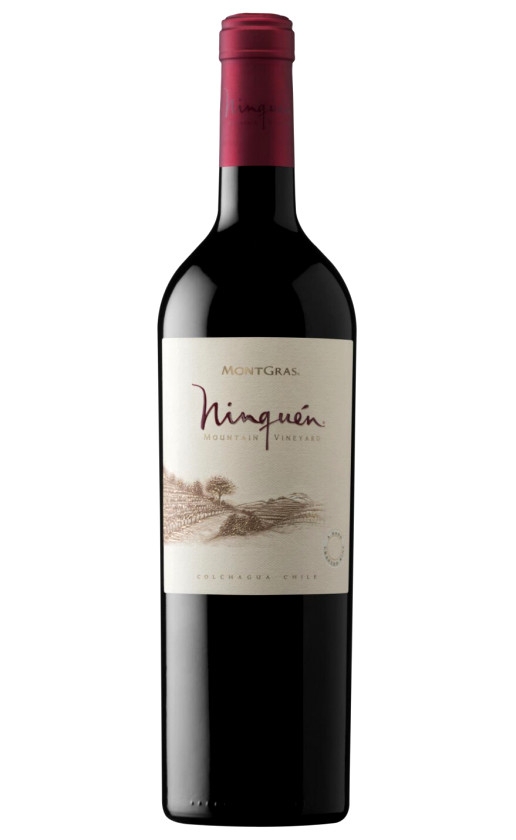 Wine Montgras Ninquen Moutain Vineyard Valle Del Colchagua 2017