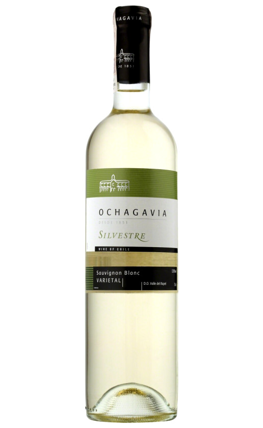 Wine Ochagavia Silvestre Sauvignon Blanc