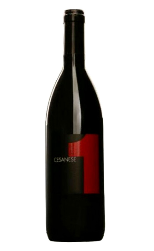 Wine One Cesanese 2004