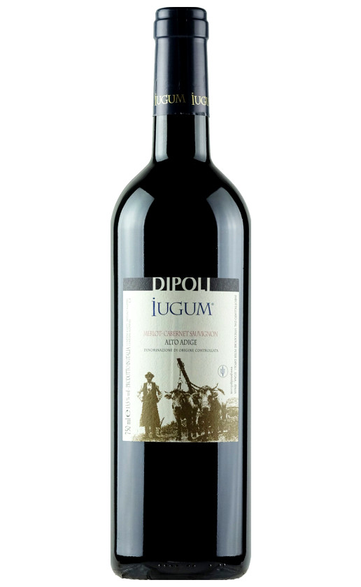 Wine Peter Dipoli Iugum Merlot Cabernet Sauvignon Alto Adige 2014