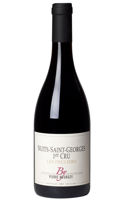 Wine Pierre Meurgey Nuits St Georges 1 Er Cru Les Pruliers 2015