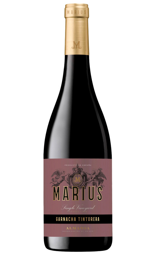 Wine Piqueras Marius Garnacha Tintorera Almansa 2015