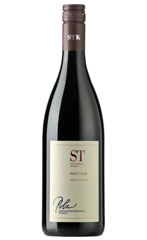 Polz Steinbach Pinot Noir Sudsteiermark Dac 2013