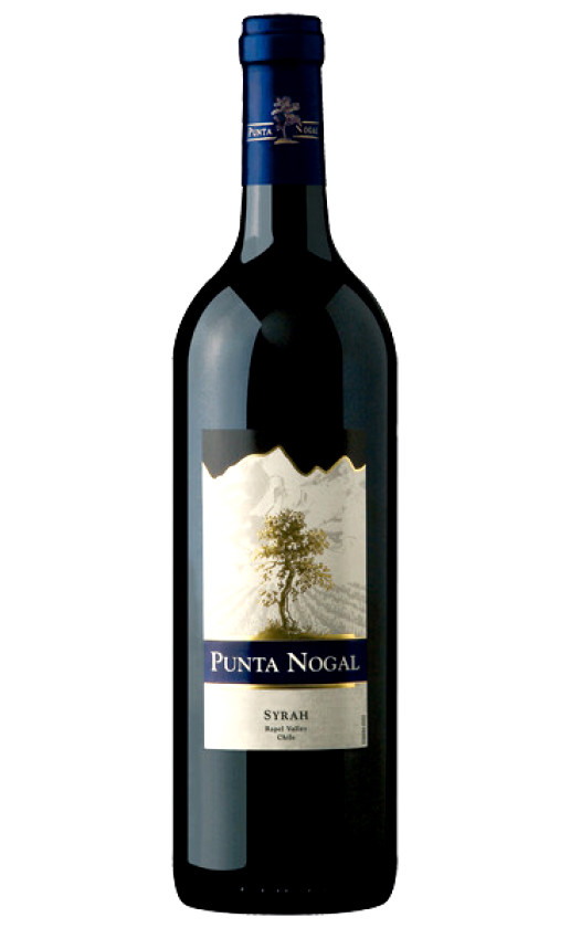 Вино Punta Nogal Syrah 2009