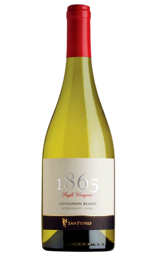 San Pedro 1865 Single Vineyard Sauvignon Blanc 2015