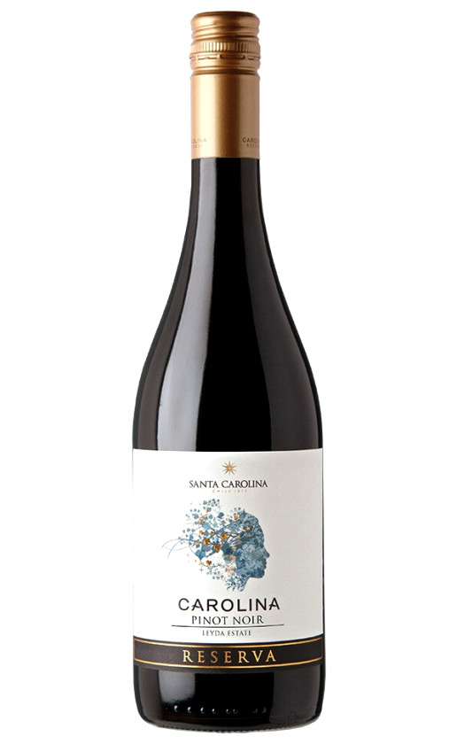 on Noir Valle Santa Pinot Wine Reserva De Leyda Carolina 2019