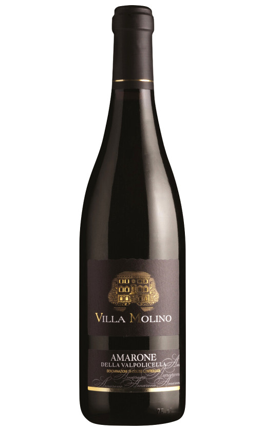 Wine Sartori Villa Molino Amarone Della Valpolicella 2016