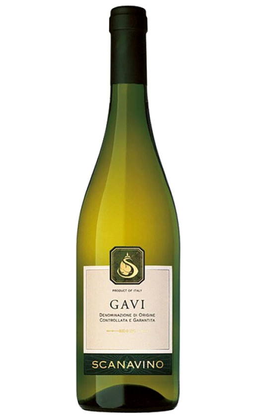 Wine Scanavino Gavi 2020