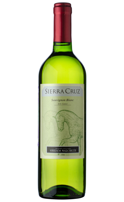 Wine Sierra Cruz Sauvignon Blanc Dry