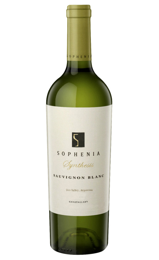 Wine Sophenia Synthesis Sauvignon Blanc Uco Valley 2019