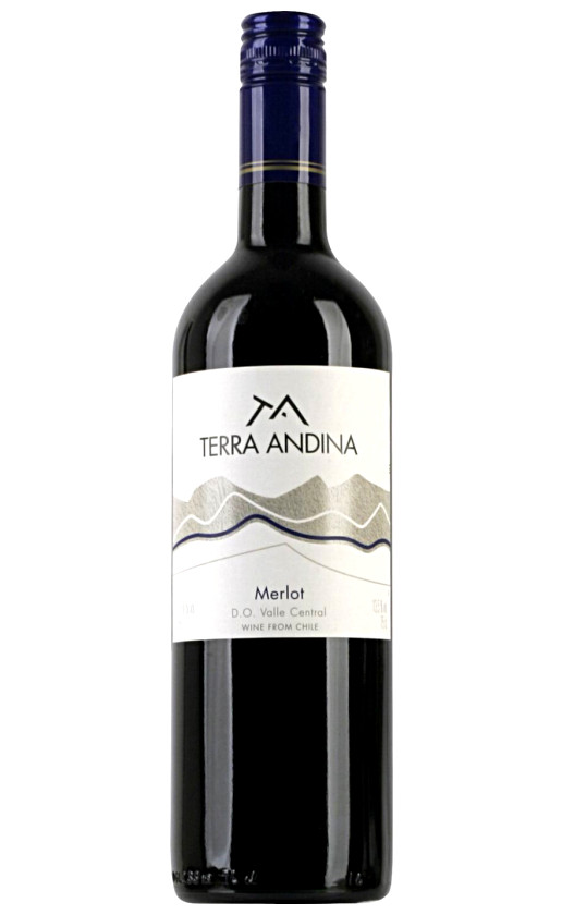 Wine Sur Andino Terra Andina Merlot Valle Central