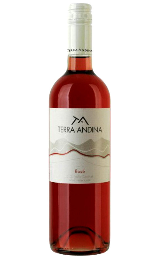 Wine Sur Andino Terra Andina Rose Valle Central