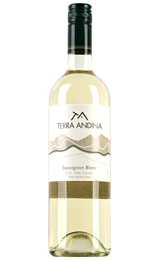 Wine Sur Andino Terra Andina Sauvignon Blanc Valle Central