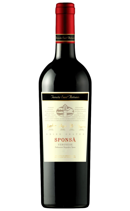 Wine Tenuta Santantonio Sponsa Veronese 2016
