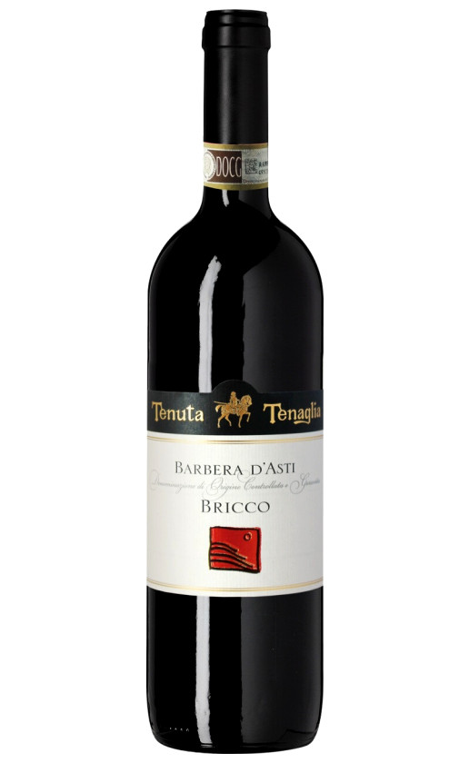 Wine Tenuta Tenaglia Bricco Barbera Dasti 2017
