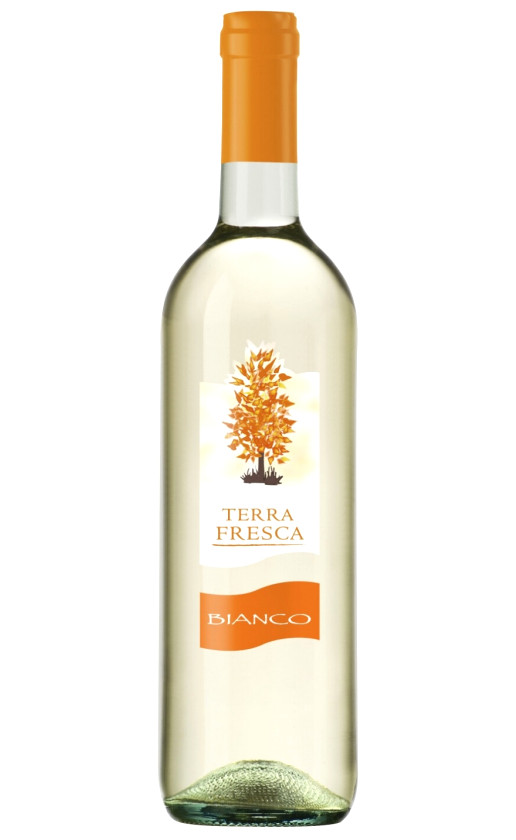 Wine Terra Fresca Bianco Semi Secco Veneto
