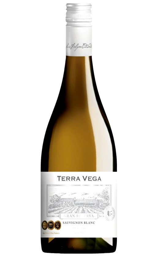 Wine Terra Vega Gran Reserva Sauvignon Blanc