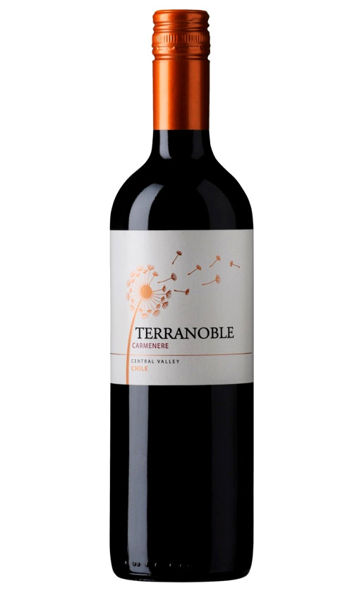 Вино TerraNoble Carmenere 2013