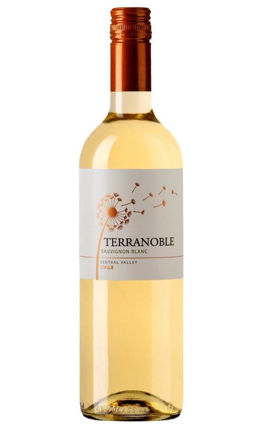 Вино TerraNoble Sauvignon Blanc 2014
