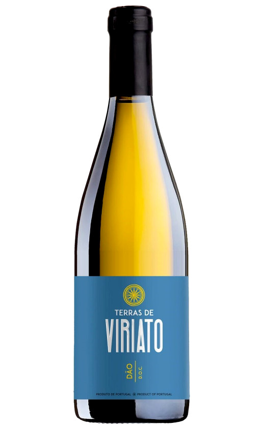 Wine Terras De Viriato Branco Dao 2019