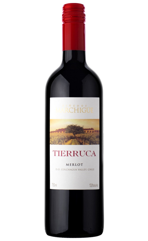 Wine Tierruca Merlot Colchagua Valley