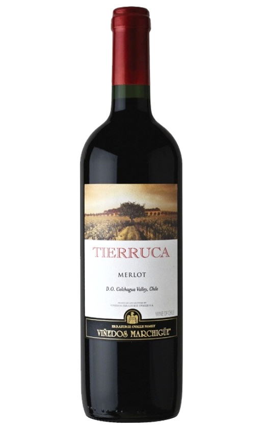 Wine Tierruca Merlot Semi Sweet Colchagua Valley
