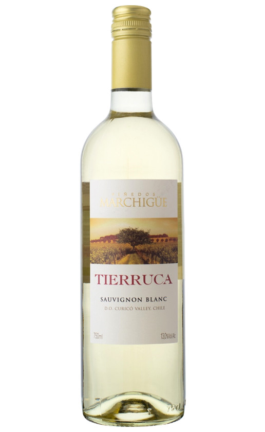 Wine Tierruca Sauvignon Blanc Curico Valley