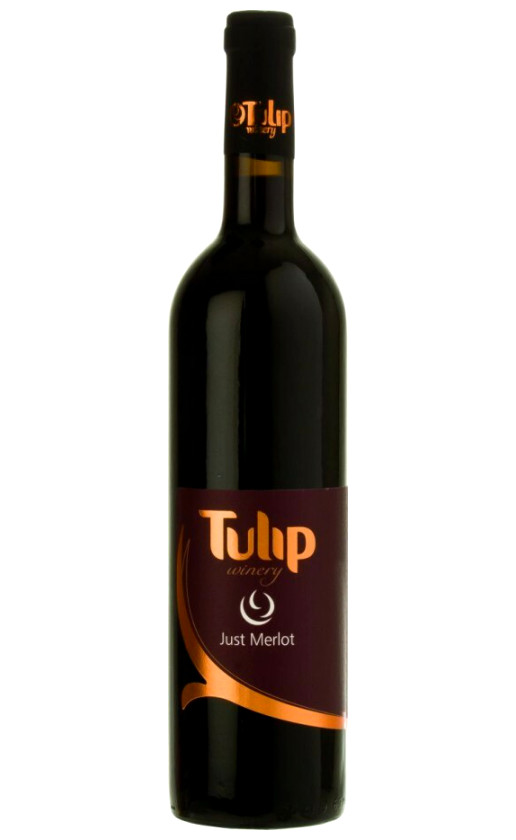 Wine Tulip Just Merlot