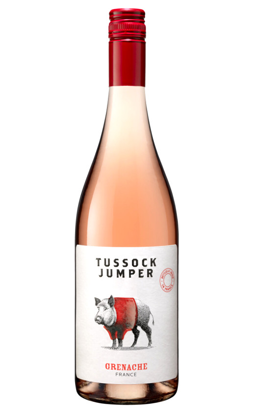 Wine Tussock Jumper Grenache