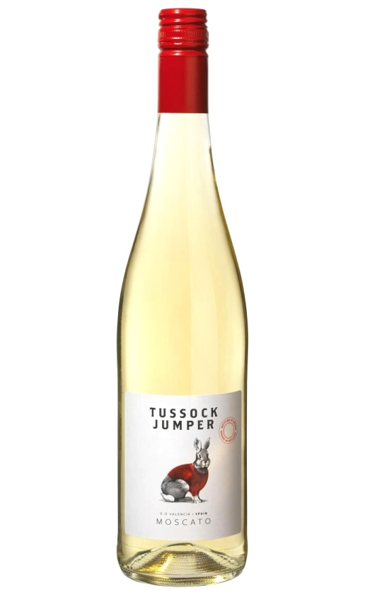 Wine Tussock Jumper Moscato