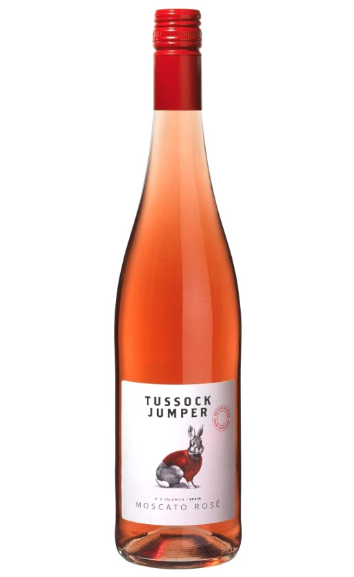Wine Tussock Jumper Moscato Rose