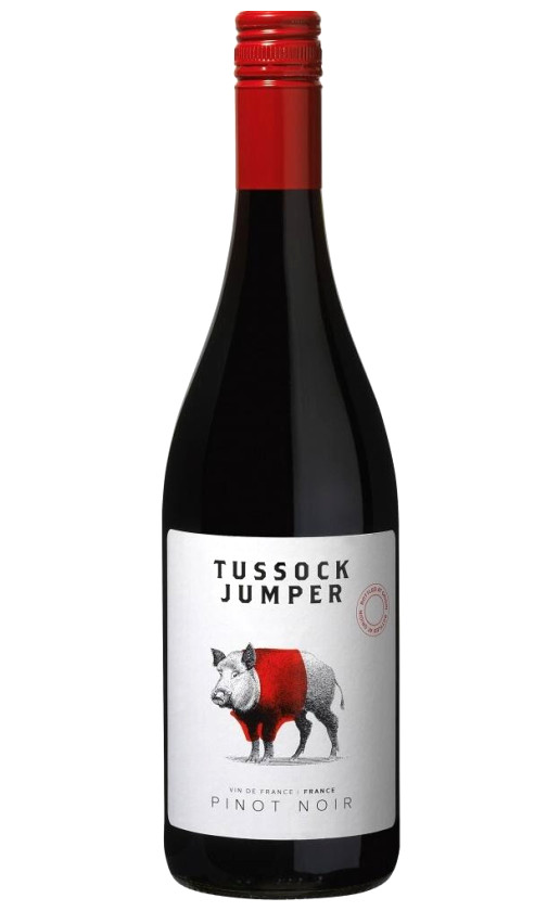 Wine Tussock Jumper Pinot Noir