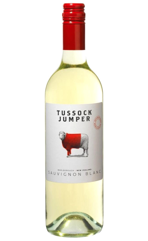 Wine Tussock Jumper Sauvignon Blanc