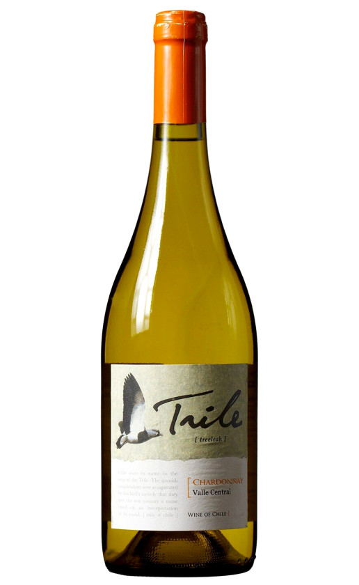 Wine Undurraga Trile Chardonnay 2013