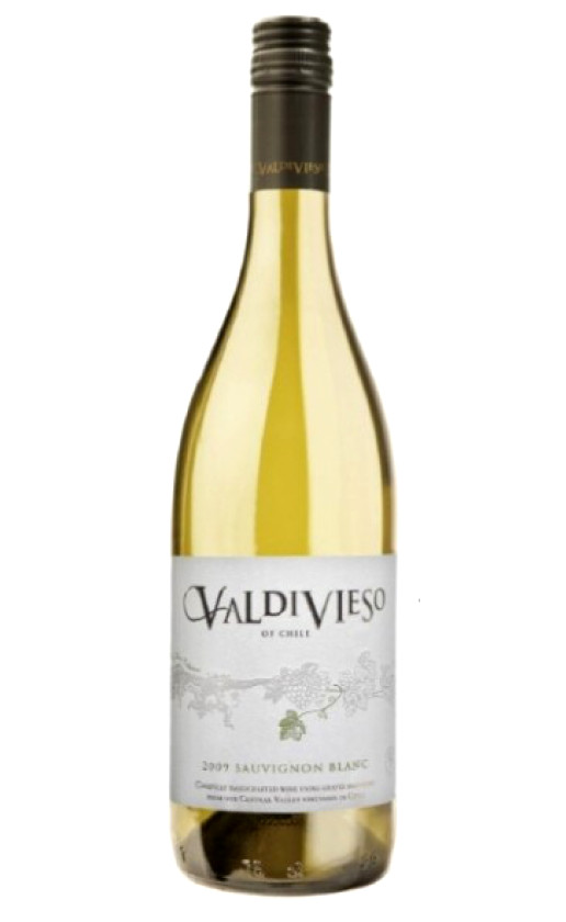 Вино Valdivieso Sauvignon Blanc 2010