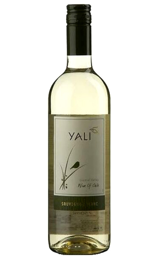 Wine Ventisquero Yali Sauvignon Blanc