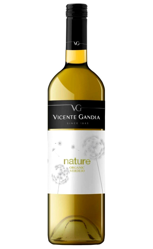 Wine Vicente Gandia Nature Verdejo