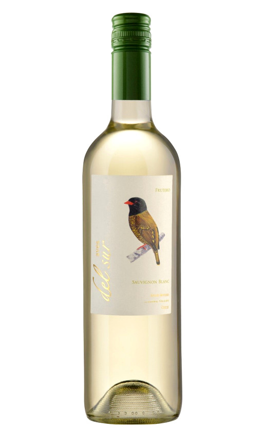 Вино Vina Carta Vieja Aves del Sur Sauvignon Blanc Central Valley 2015