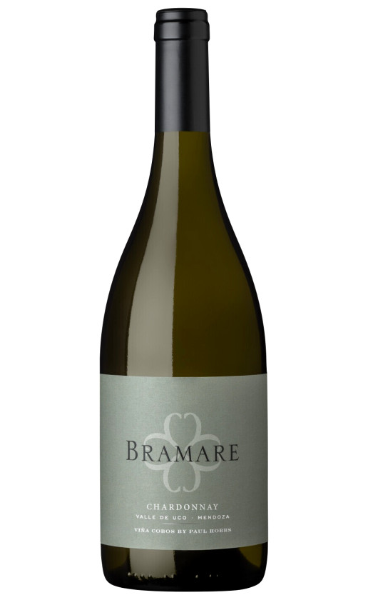 Wine Vina Cobos Bramare Chardonnay Valle De Uco 2019