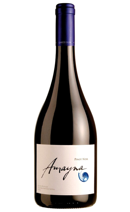 Wine Vina Garces Silva Limitada Amayna Pinot Noir 2016