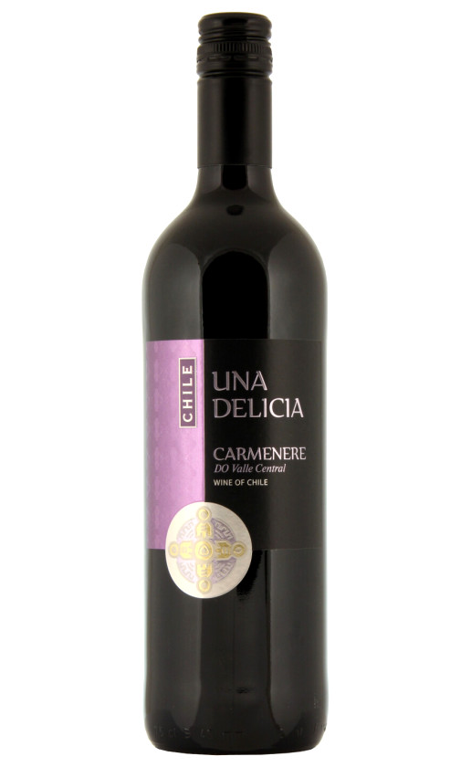 Wine Vinedos Puertas Una Delicia Carmenere Valley Central 2020