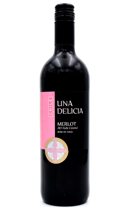 Wine Vinedos Puertas Una Delicia Merlot Valley Central 2019