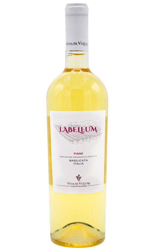 Wine Vitis In Vulture Labellum Fiano Basilicata