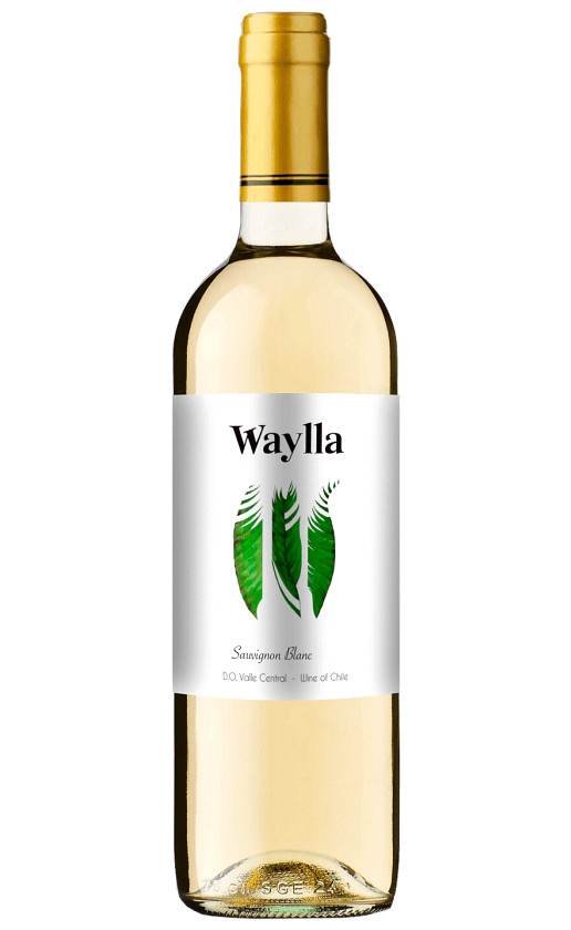 Wine Waylla Sauvignon Blanc Central Valley