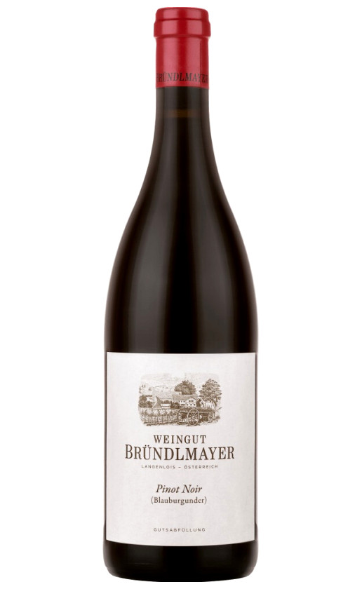 Wine Weingut Brundlmayer Pinot Noir Blauburgunder 2017